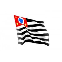 BANDEIRA DO ESTADO DE SÃO PAULO 1,28X0,90 (USO AREA EXTERNA)
